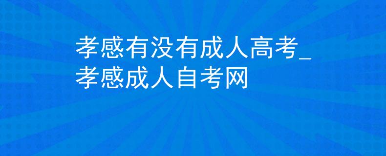 孝感有没有成人高考_孝感成人自考网