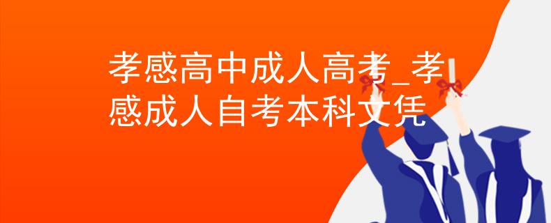孝感高中成人高考_孝感成人自考本科文凭