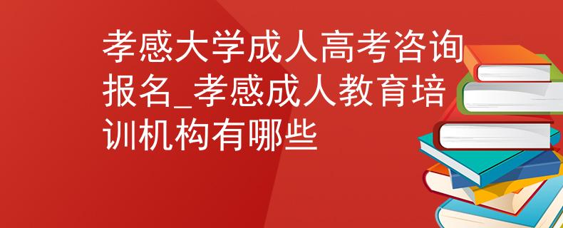 孝感大学成人高考咨询报名_孝感成人教育培训机构有哪些