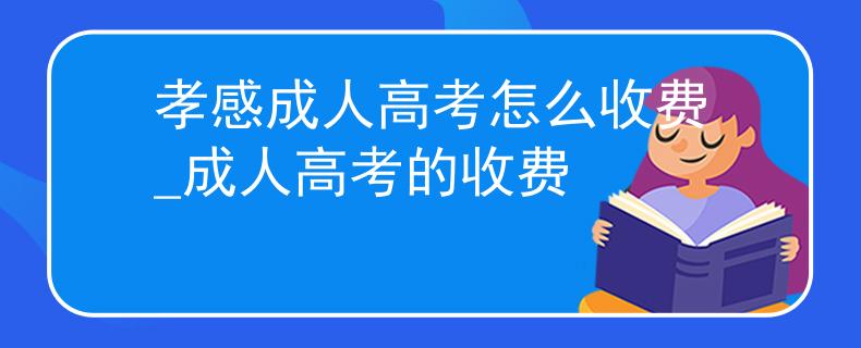 孝感成人高考怎么收费_成人高考的收费