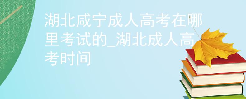 湖北咸宁成人高考在哪里考试的_湖北成人高考时间
