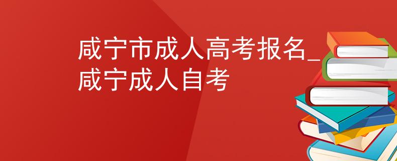 咸宁市成人高考报名_咸宁成人自考