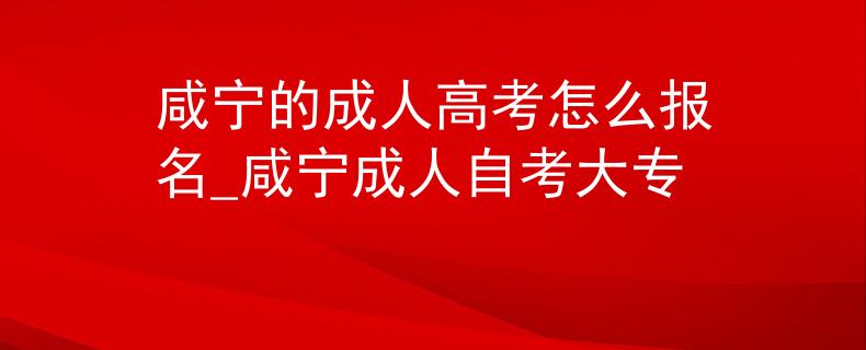 咸宁的成人高考怎么报名_咸宁成人自考大专