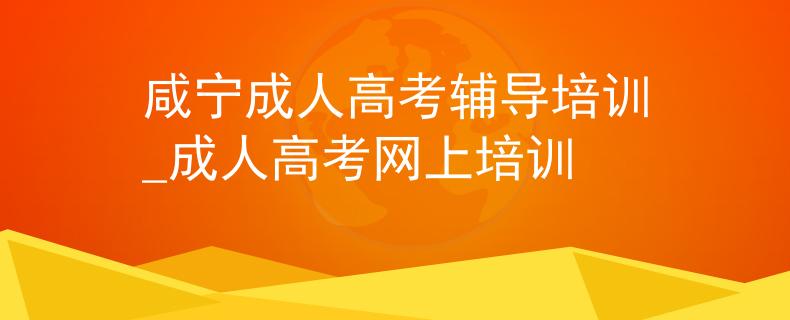 咸宁成人高考辅导培训_成人高考网上培训