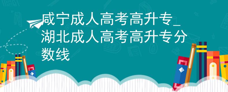 咸宁成人高考高升专_湖北成人高考高升专分数线