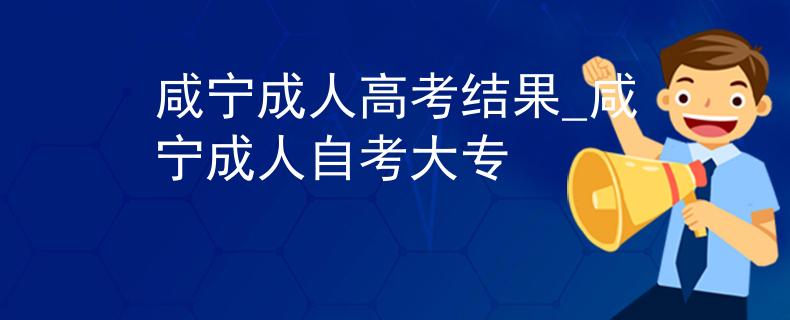 咸宁成人高考结果_咸宁成人自考大专