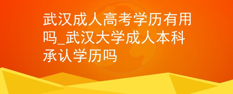 武汉成人高考学历有用吗_武汉大学成人本科承认学历吗