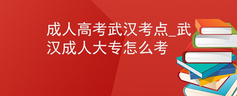 成人高考武汉考点_武汉成人大专怎么考