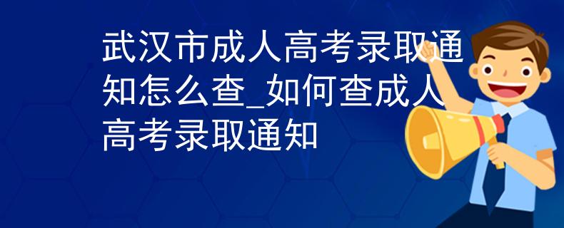 武汉市成人高考录取通知怎么查_如何查成人高考录取通知