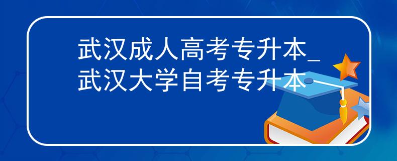 武汉成人高考专升本_武汉大学自考专升本