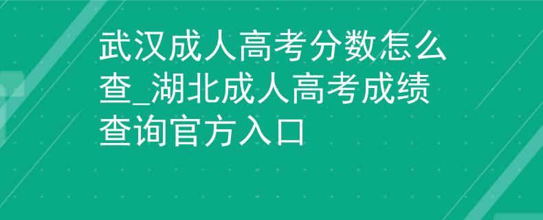 武汉成人高考分数怎么查_湖北成人高考成绩查询官方入口 武汉成人高考分数怎么查_湖北成人高考成绩查询官方入口