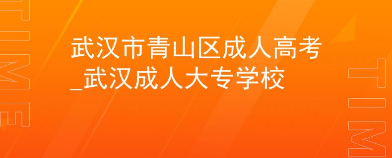 武汉市青山区成人高考_武汉成人大专学校 武汉市青山区成人高考_武汉成人大专学校
