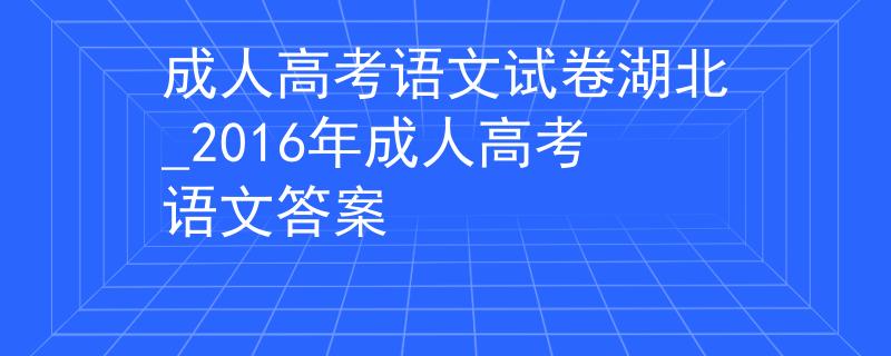 成人高考语文试卷湖北_2016年成人高考语文答案