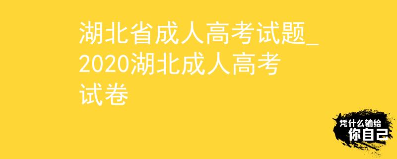 湖北省成人高考试题_2020湖北成人高考试卷