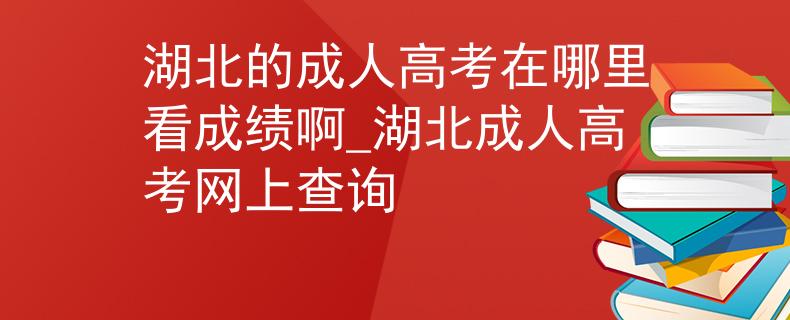 湖北的成人高考在哪里看成绩啊_湖北成人高考网上查询