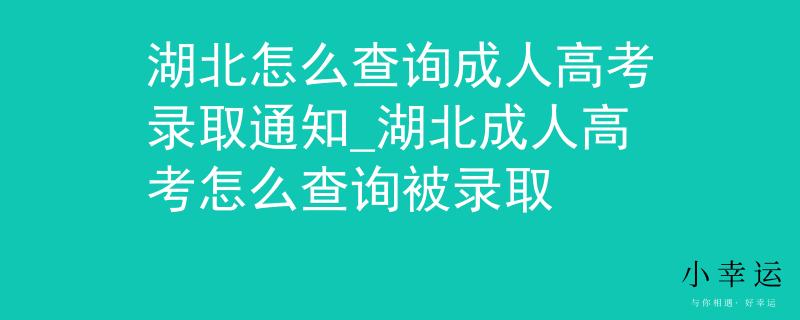 湖北怎么查询成人高考录取通知_湖北成人高考怎么查询被录取
