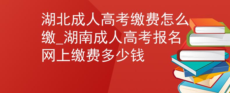 湖北成人高考缴费怎么缴_湖南成人高考报名网上缴费多少钱