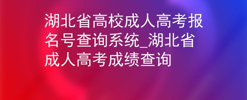湖北省高校成人高考报名号查询系统_湖北省成人高考成绩查询