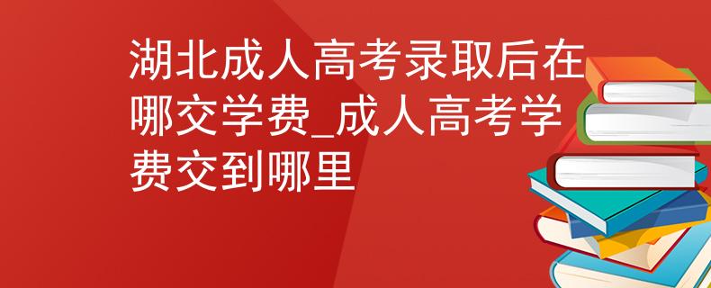 湖北成人高考录取后在哪交学费_成人高考学费交到哪里