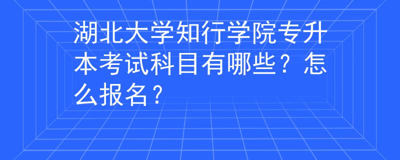 湖北大学知行学院专升本考试科目有哪些？怎么报名？