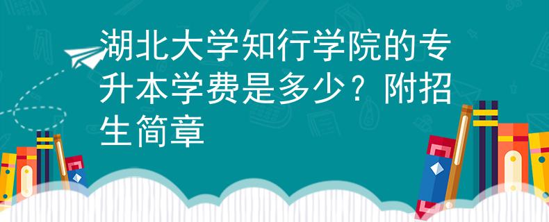 湖北大学知行学院的专升本学费是多少？附招生简章