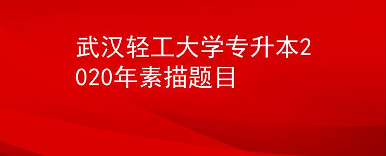 武汉轻工大学专升本2020年素描题目