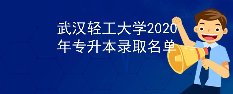 武汉轻工大学2020年专升本录取名单