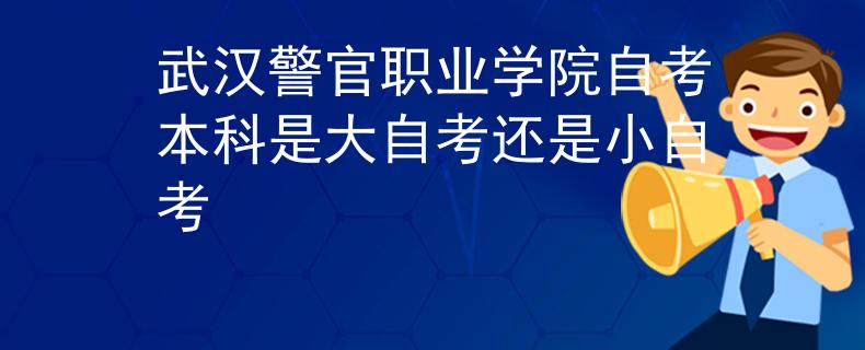 武汉警官职业学院自考本科是大自考还是小自考