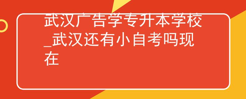 武汉广告学专升本学校_武汉还有小自考吗现在 武汉广告学专升本学校_武汉还有小自考吗现在