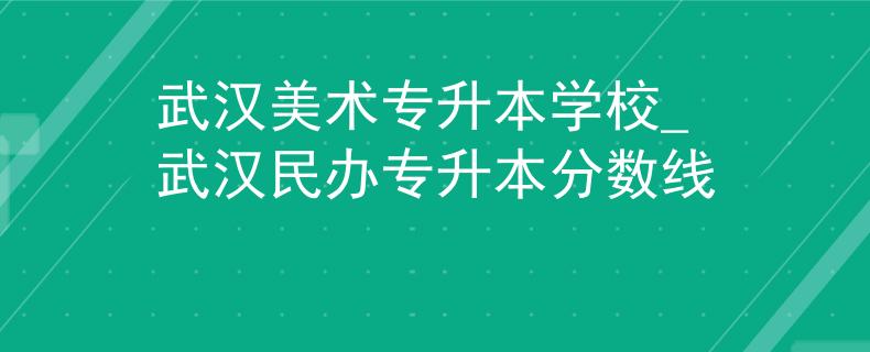 武汉美术专升本学校_武汉民办专升本分数线