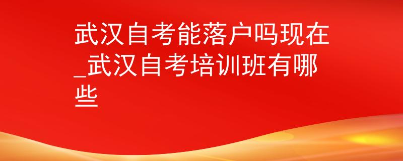 武汉自考能落户吗现在_武汉自考培训班有哪些