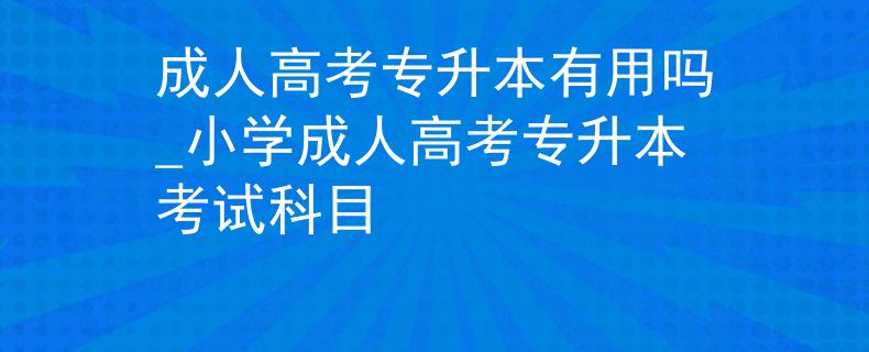 成人高考专升本有用吗_小学成人高考专升本考试科目