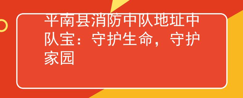 平南县消防中队地址中队宝：守护生命，守护家园