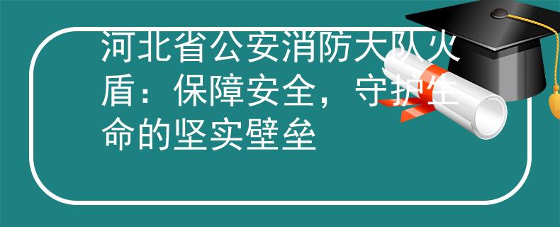 河北省公安消防大队火盾:保障安全,守护生命的坚实壁垒 河北省公安消防大队火盾:保障安全,守护生命的坚实壁垒