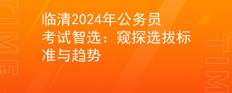 临清2024年公务员考试智选：窥探选拔标准与趋势