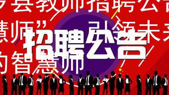 博罗县教师招聘公告“智慧师”：引领未来教育的智慧师