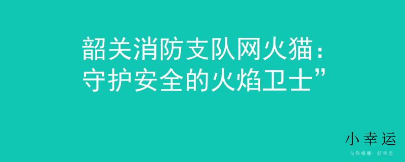 韶关消防支队网火猫：守护安全的火焰卫士”
