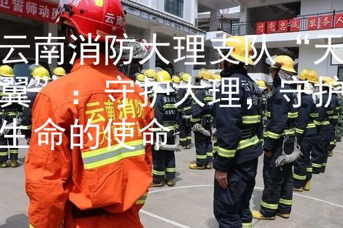云南消防大理支队“天翼”：守护大理，守护生命的使命