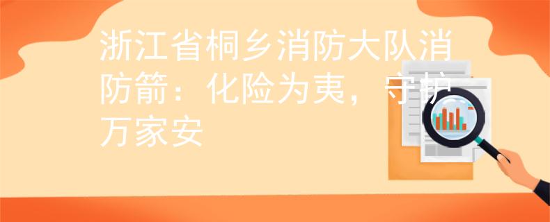 浙江省桐乡消防大队消防箭：化险为夷，守护万家安