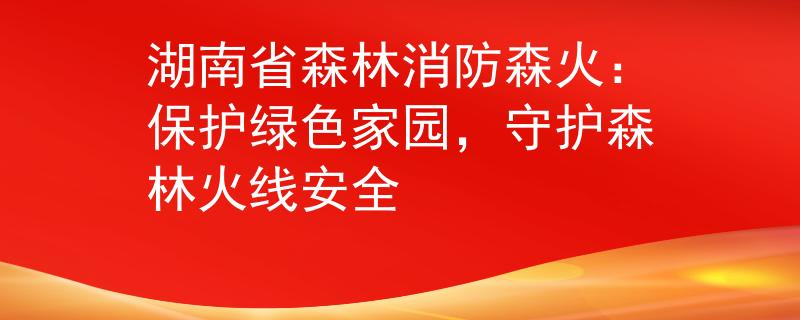 湖南省森林消防森火：保护绿色家园，守护森林火线安全