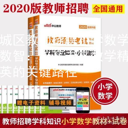 城区教师招聘小学数学数智：培育未来数学精英的关键路径
